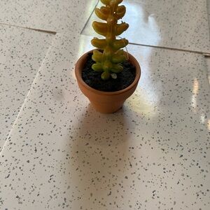 Assortment of faux plants.